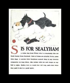 Collectibles  Animals  Dogs  Sealyham Terrier
