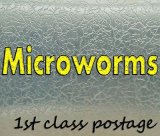 Fish food for fish baby/fry ~ Microworms live culture starter