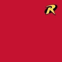 NEW Batman Robin Shirt with R Logo T Shirt Sizes S 3XL