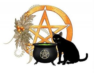 Custom Made T Shirt Halloween Wicca Wiccan Black Cat Pentagram 