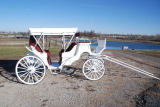NO RESERVE horse drawn vis a vis wedding carriage by Robert Carriages 