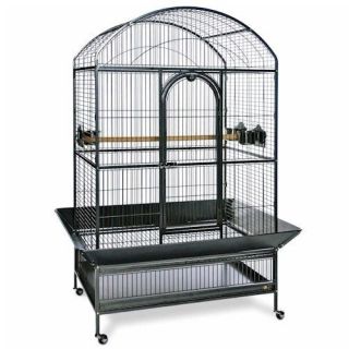 Medium Dometop Parrot Cage   Black Color Cage