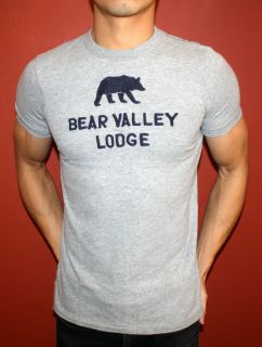   ABERCROMBIE & FITCH AF MUSCLE SLIM FIT T SHIRT GRAY BEAR VALLEY MENS L