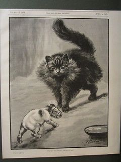 LOUIS WAIN CAT WITH JACK RUSSELL TERRIER DOG ANTIQUE PRINT 1896