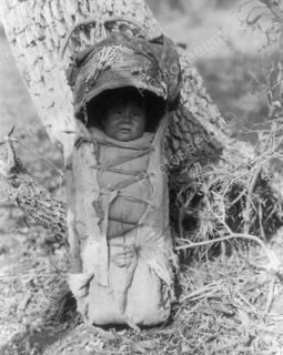 Native Indian Apache Baby Papoose In A Cradle Board 8x10 Reprint Of 