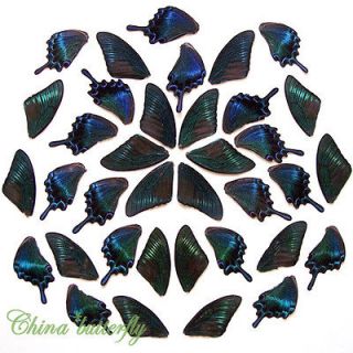 green LOT REAL BUTTERFLY wing material ooak fairy diy artwork