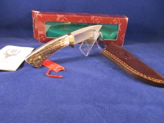 Muela Colbri 6 Stag Fixed Blade Knife With Leather Sheath Mint In 