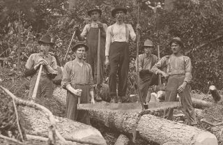 Timber cutters & log rollers c1910 large photo logging