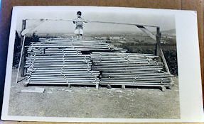 VINTAGE 1940s YOUNG BOY STANDING ON FRESHLY CUT SAWMILL LUMBER