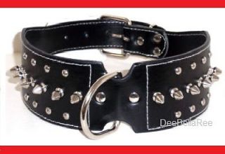 black spiked dog collar leather large malamute bernese boxer dalmation