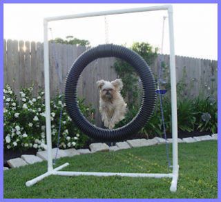 tire jump for dog agility superior furniture grade pvc time