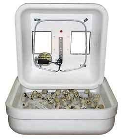 new hovabator incubator 1602n all hatching eggs one day shipping