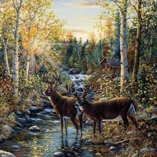 wild deer in woods forest wall mural 145 72024  69 99 buy 