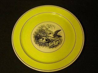  Boch INDIA Mettlach Luncheon Plate 3 Mottahedeh Yellow Bird Nest RARE