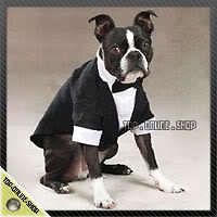 Tuxedo Wedding Dress Shirt Costume Dog Cat Pet 22 30lb Beagle 