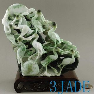 Natural Dushan Jade Cranes / Birds Statue / Carving / Sculpture