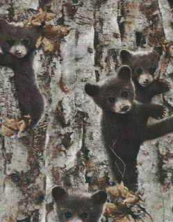 Baby Bears Cubs and Birch Trees Quilt Fabric Timeless Treasures 9288