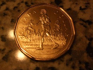 2005 Terry Fox Loonie, Brand New, UNC. From Royal Canadian Mint 