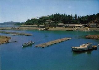 Vintage Postcard UNUSED JAPAN   Mikimoto Pearl Farm   Tatoky   Age Bay