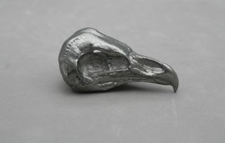 Barn Owl Bird Skull Replica in Metallic Pewter Taxidermy Study Unusual 