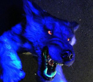   mount Halloween prop haunted house horror wolfman taxidermy wolf