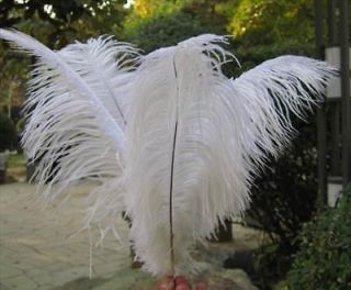 Wholesale 50PCS Quality Natural OSTRICH FEATHERS 10 12inch Color 