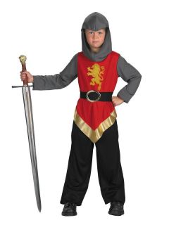High King Peter Narnia Caspian Medieval Knight Dress Up Halloween 