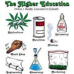 higher education gift t shirt weed beer marijuana wo