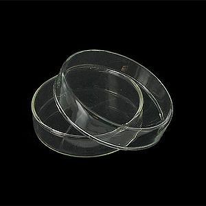 15pcs Glass petri dish VINTAGE dish culture plate with cover Diameter 