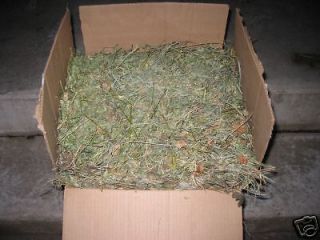 10 lbs. Premium Quality Timothy Alfalfa Clover Hay Mix