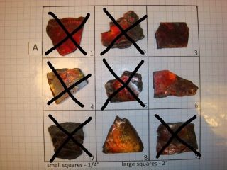  Red Ammolite Ammonite Your Choice (Pick One) Ready to Make Jewelry