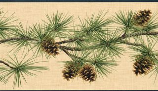 COUNTRY PINE CONES NEEDLES ON BRANCH 6 3/4 BLACK EDGES Wallpaper 