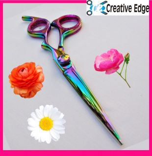 Professional Hairdressing Scissors in Scissors & Shears