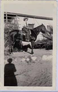   Young Girl Astride Her Beautiful Horse Western Cloths Serious Face