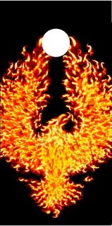 phoenix fire bird cornhole board wrap decal set cool more
