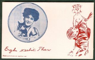 evelyn nesbit thaw with cat 1907 vintage postcard time left