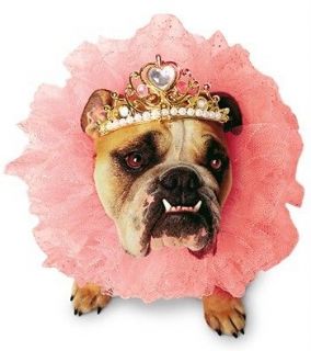 zelda queen pet dog animal costume tutu tiara new pm85800
