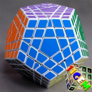   Gigaminx 12 Color Polygonal Megaminx Plastic Magic Cube Twist Puzzle