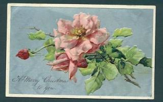 s7526 catherine klein postcard pink wild roses time left $