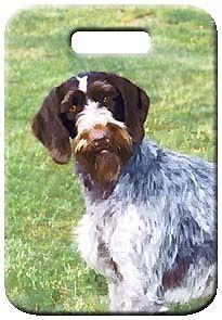 Newly listed Set of 2 German Wirehaired Pointer Luggage Tags