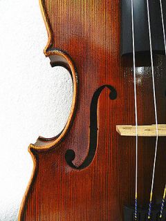 16” Viola /Copy of Giuseppe Guarneri 1733/ Deep Tone/Helicore 