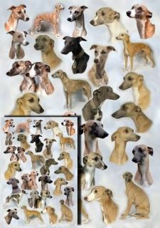 Whippet Dog Gift Wrapping Paper By Starprint   Auto combined postage