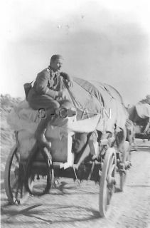 WWII German RP  Animal  Horse  Wagon  Catch A Ride  40s
