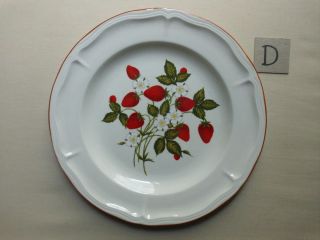   Dinner Chop Plate Strawberries Strawberry Ceramic Stoneware D