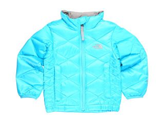 The North Face Kids Girls Aconcagua Jacket (Toddler) $90.00 Rated 4 