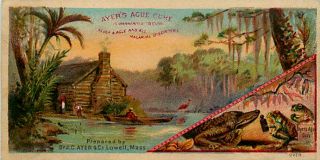 Victorian Trade Card Advertising Ayers Ague Cure 1890s Swamp Cabin 