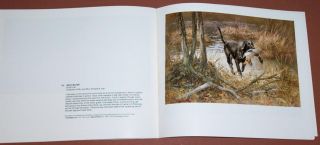 ROBERT ABBETT BOOK 45 FRAMEABLE IMAGES IN Book