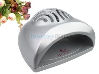   Mini Fan Nail Dryer for Hand Nails (Silver, AA Batteries Needed
