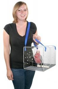   Solid Acrylic Parrot Bird Carrier Cage Macaw  Grey