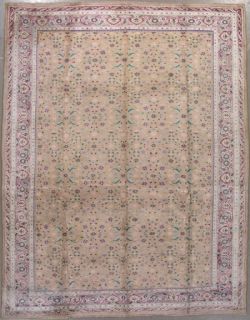 9x11 Gold Antique Cotton Agra Oriental Hand Knotted Wool Area Rug 